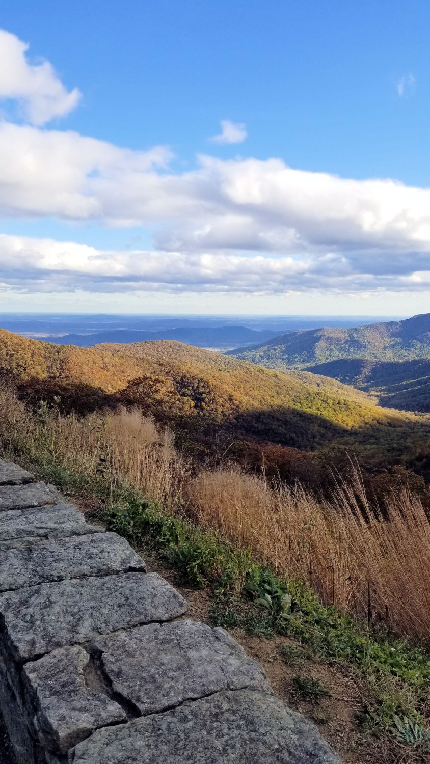 Scenic Drive Over Looks 